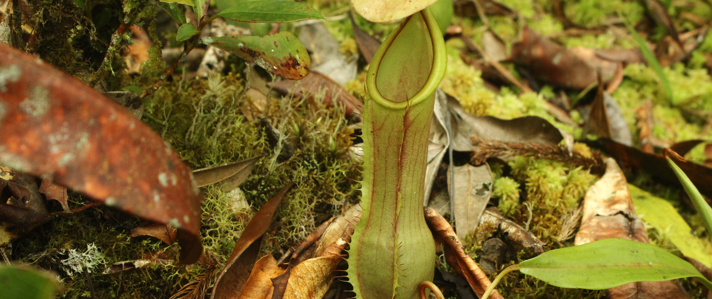 Slider Image 16