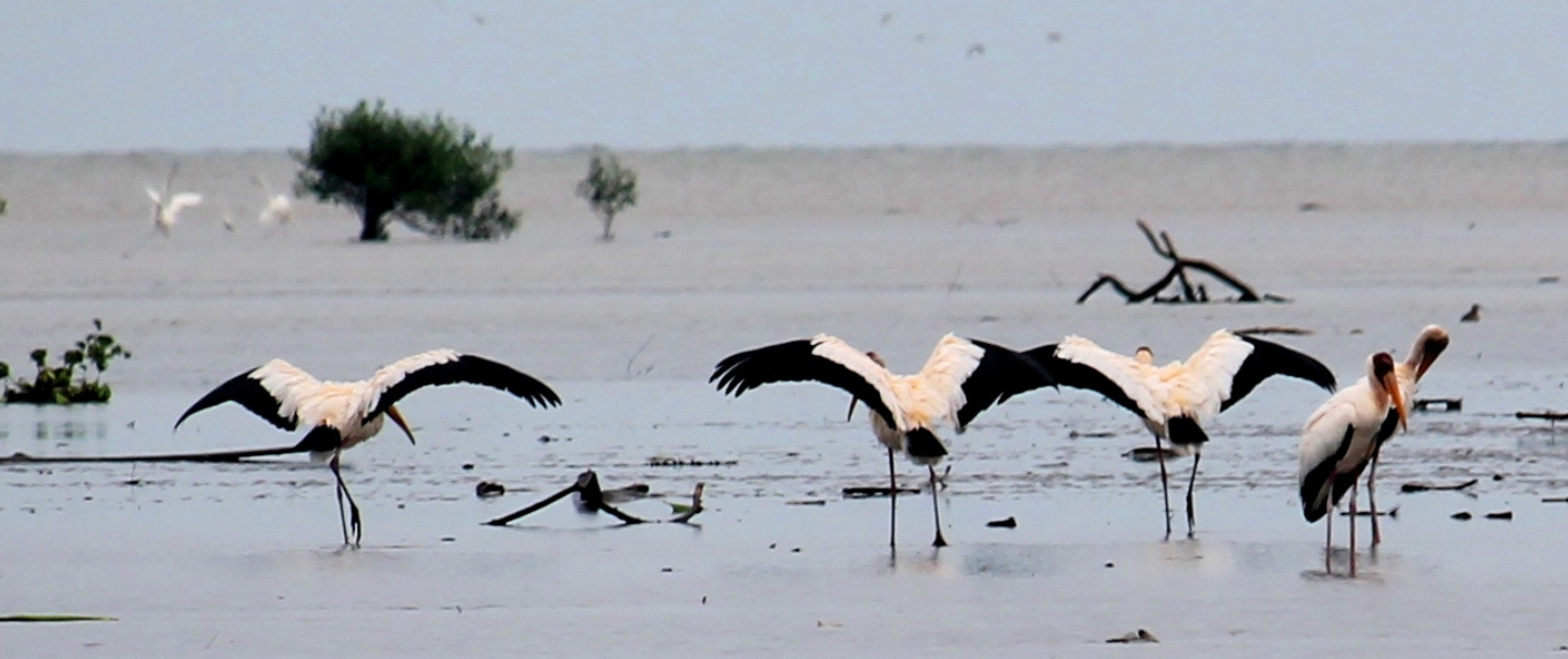 Slider Image 19