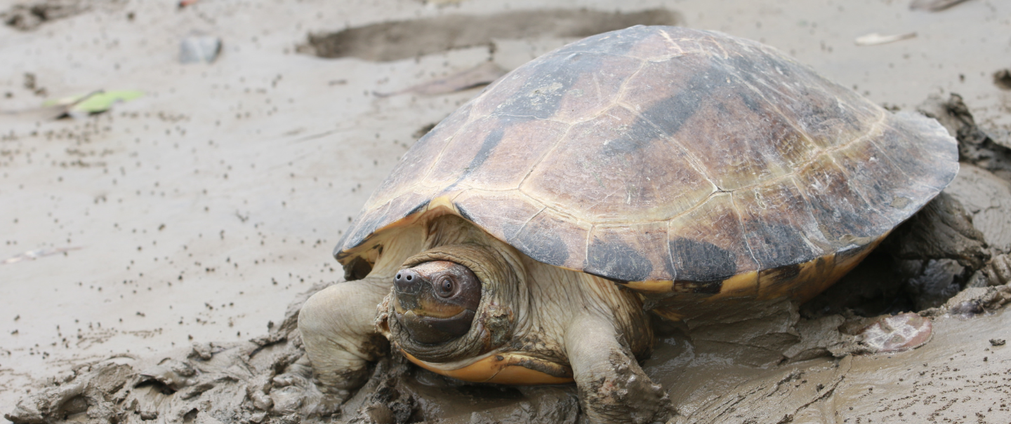 Slider Image 23