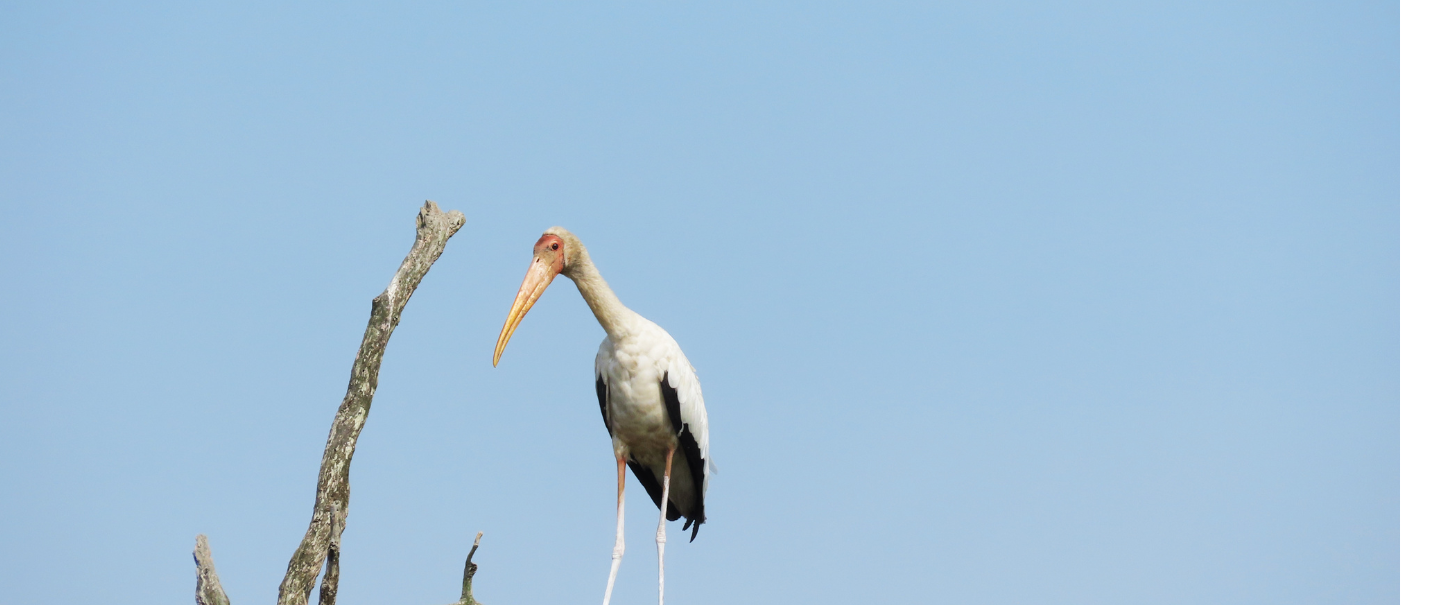 Slider Image 24
