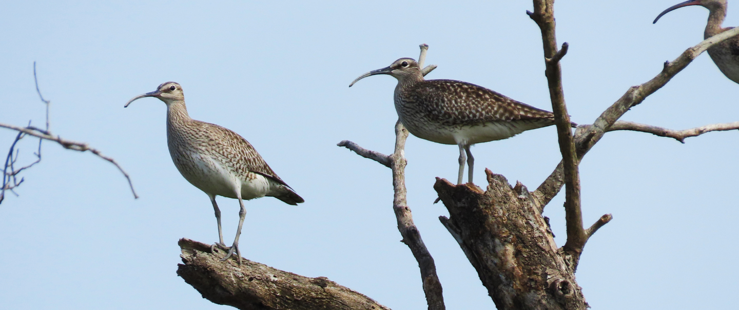 Slider Image 25