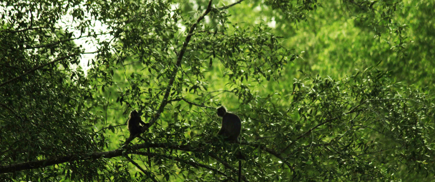 Slider Image 28