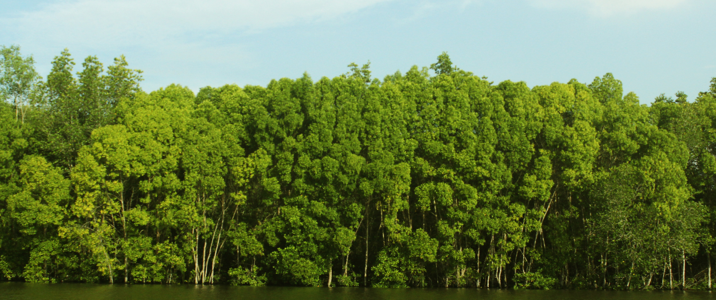 Slider Image 31