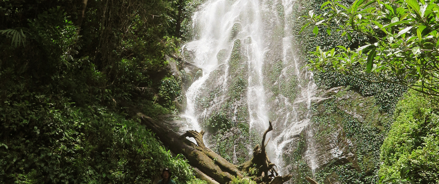Slider Image 9