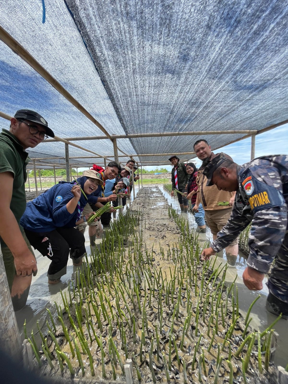 SAKA WANABAKTI SUMUT TANAM MANGROVE: WUJUD CINTA ALAM DAN BAKTI UNTUK NEGERI