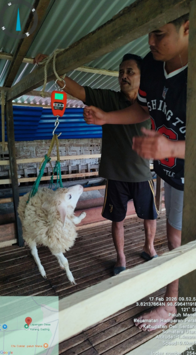 Resor SM Karang Gading dan Langkat Timur Laut I Monitoring Secara Berkala Usaha Peternakan Domba KTH Gading Hijau