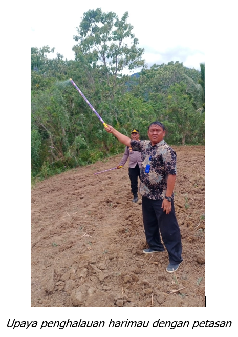 Kolaborasi Mitigasi Kemunculan Harimau di Desa Rih Tengah, Kecamatan Kuta Buluh, Kabupaten Karo
