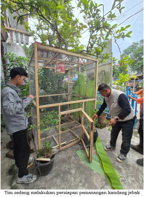 Balai Besar KSDA Sumatera Utara Tangani Interaksi Negatif dengan Monyet Ekor Panjang di Kabupaten Langkat
