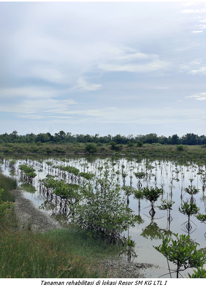 Rehabilitasi Mangrove di SM Karang Gading dan Langkat Timur Laut: Komitmen Pemulihan Ekosistem Pesisir