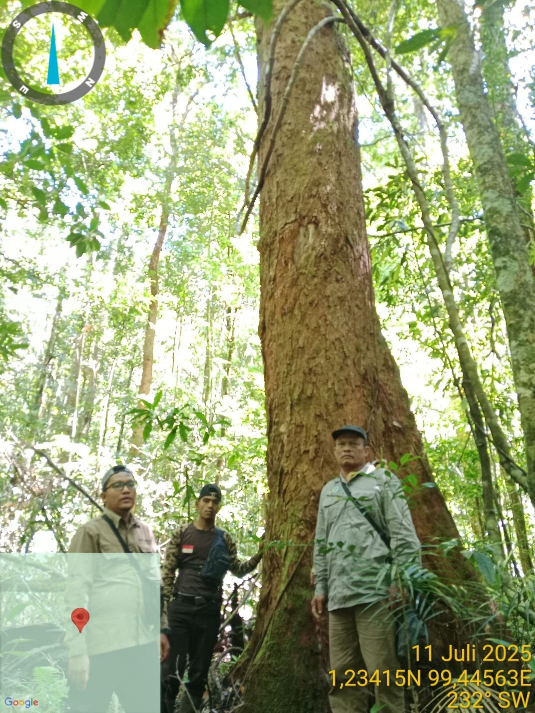 Temuan Jerat Dan Tanda Kehadiran Satwa Liar Tegaskan Pentingnya Pengawasan di SM Barumun